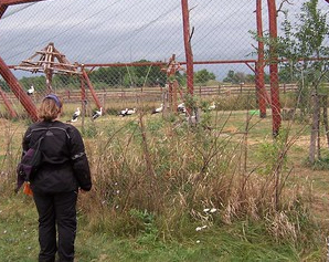 visiting a bird sanctuary