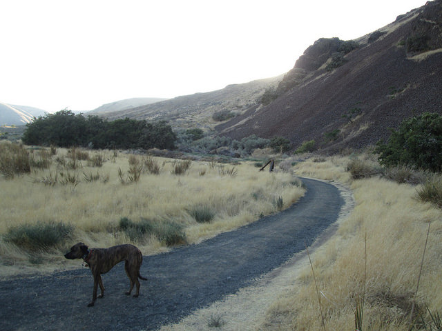 Lucinda at Cottonwood Canyon State Park