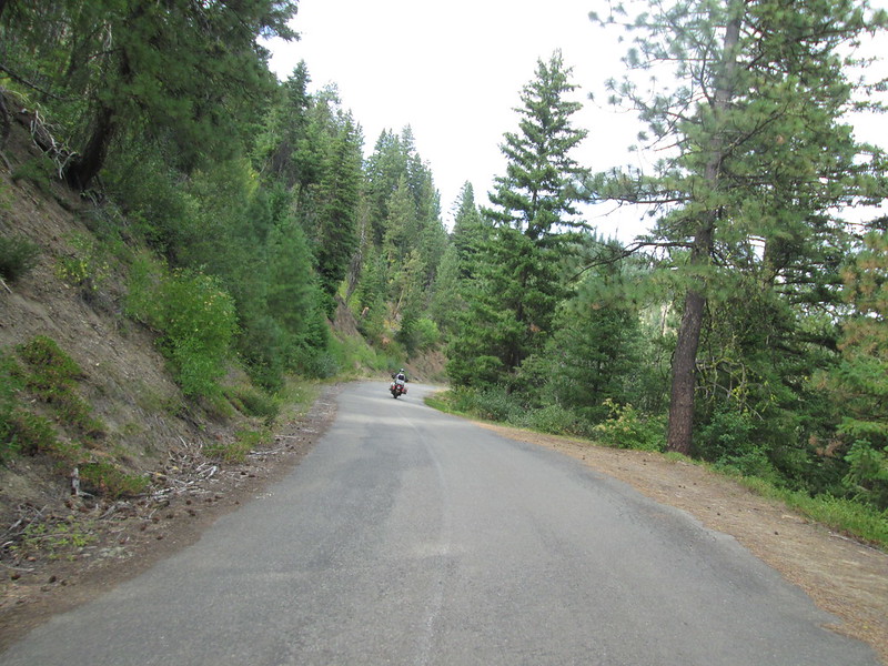 traveling on a forest road.